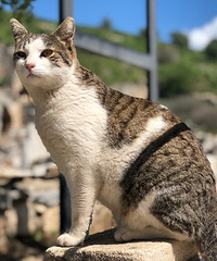 ��������� ������������������������������ѪҺ�Ĺ���