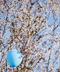 ãÿĶԻڶǶ£ڵС޶ö