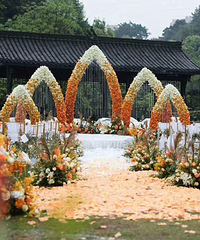 �����Ĳ�ƺ����