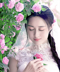 ͬıĳ񼫶˵Ƭ棺룡룡