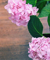 ���¼�¼��̨���Ĵ��죬�m��������ֵ����