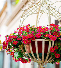 ¶̨ѳ߹ģһա¶̨˻԰Ч