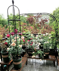 2017˵һ¼2018ҵ¶̨Ѿɫ԰