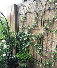 2017˵һ¼2018ҵ¶̨Ѿɫ԰