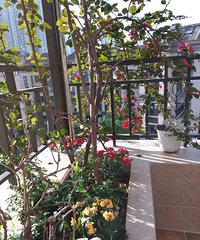 ̨̨ٵڵ¶̨һһʵֻԸ