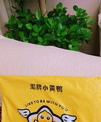 捡趴活,质量超好的小黄鸭!59买一送一