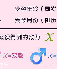 生男生女计算公式,都来验证一下,看准不准?
