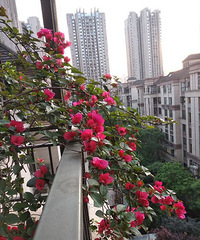 ̨̨ٵڵ¶̨һһʵֻԸ