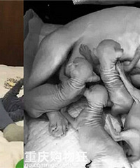 ˼ҵС5ֵֻ15èǾëè