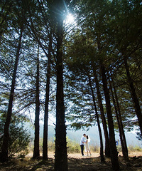 ޵ȴʱ̫ȲҪĵĻɴգԭƬ