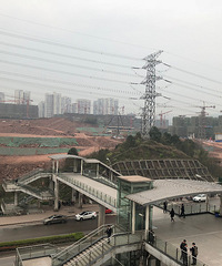 具体说说网红茶园的发展近况,盘点在售项目值不值得下叉