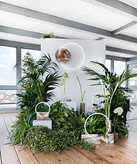 2018ҾչֻܸпȻǼҾ߽İƥˣ