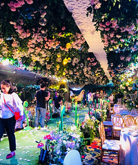 ��Ѳμ���ô�ߴ��ϵĻ��������Ĳ��õú���