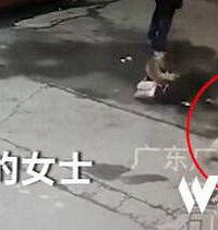 高空坠狗,路过女子当场被砸倒