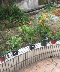 买了传说中的老破旧,但我发现同样可以把生活过成诗