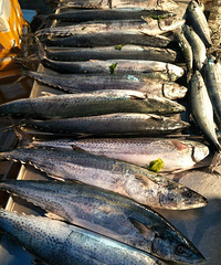 ÿ궼ҪԼһ˳ʣϺƤƤϺС