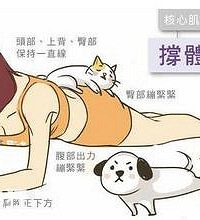 plankƽ֧ʲôãʱֽplankƽ֧ʲô