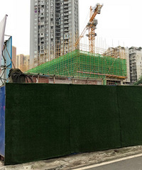 ·������һ���޽��е�׿Խ��徣��о���Ĳ�զ����