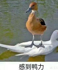 �򷿶�����·����˵������Ҫ����ҵ����X��Ĳ�ˮ���˰�