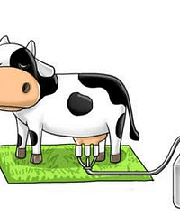 ��Ϊ�Լ������޶�û���̣����������ˮ��óԲ��꣬���������