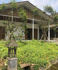 ����Ұ���һ���ʺϰ�С���»���ĵط�������������ƺ����