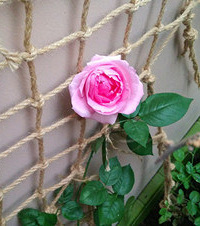 ������DIY���ֹ���ǽ���д���