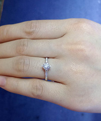 ���Ƶ��������ڵ����ˣ�����4צ�����������Ϳ����Լ۱ȳ���