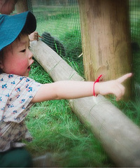 һ����ĩ���в�ס�������޶�����ȵ�ũ�����º��Ͻ�