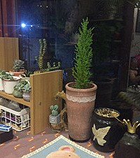 ����̨Ҳ���Բ��õ������ḻ��