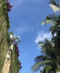 你陪我长大,我陪你变老。吉隆坡槟城巴厘岛一起浪~