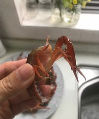 在家也能做美味的麻辣小龙虾
