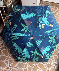 ̨ʺݺڽ̫ɡСͼҵĲ~С