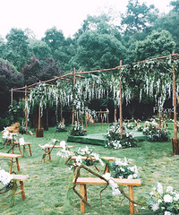 һĺɭ֡ƵĻֳҲ̫˰