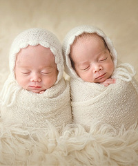 һ̥Ǹܵܣû뵽̥˸˫̥