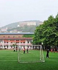 ɳƺ��Сѧ�����Ҫ��ס���˾��������ʵ�Ǵ�Ҷ������