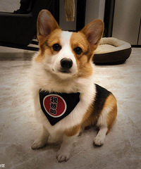 һҵСѣ˳¸ۡ2018-1ϼҴ