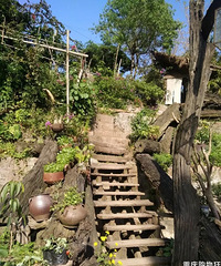茶园这个民宿太有特色,到处都是古香古色,还可以烧烤可以摘菜