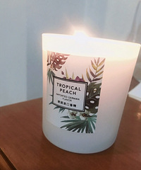 ƷƼԼβݡ2018һȰƷ