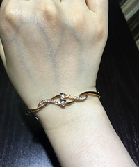 ������������ܲ�ҪǮ��һ����ѡ����ô�࣬�����õ������˲�