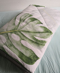 ���ŵĿյ����յ��ˣ�����������˵