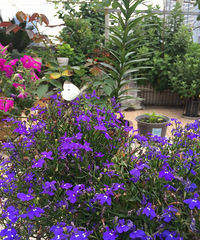 ¾ʹɹ֮·صԶݶ԰м