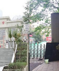 ׼ѧСѧл·Сѧѡĸ