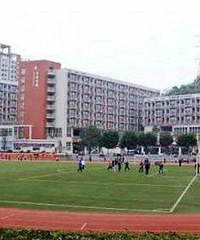 ͷβֱУƽаУص࣬ѡĸ