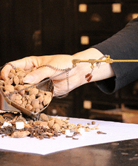 ޶Աף仯׸ðƼЧõҽ