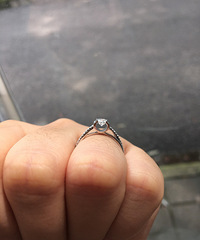 �������Ҳ����ݣ�����������������������е�ţ�զ��