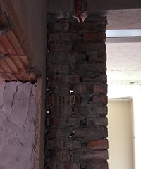 Ʈ�����˺󣬷��ִ�������ĸֽ������������