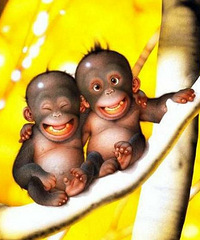 2018年5月相亲合集