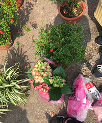 Ƽ򻨺ȥ򻨺ʯ10һ裬һ