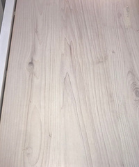 ذɫܱȼҾǳǲǸûһľذ