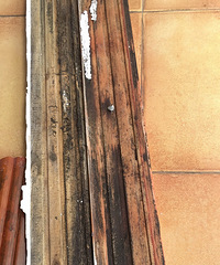 ȫݵ߽ߴ󲿷ַùˣôԭ